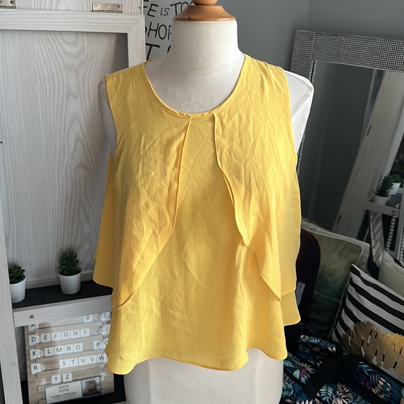 Zara// sleeveless blouse size small - Picture 14 of 14